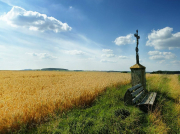 南方水泵軸承一般用的什么油?